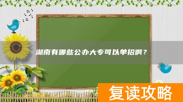 湖南有哪些公办大专可以单招啊？
